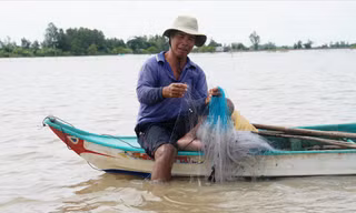 Chơi vơi mùa nước nổi: Đồng Tháp Mười 'đói' tôm, cá 