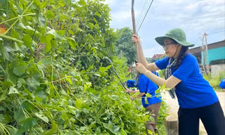 Thước phim đáng nhớ nhất 