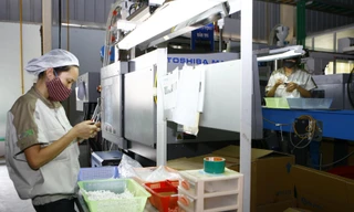 Gói an sinh lần 2 được đề xuất tập trung hỗ trợ lao động bị mất việc làm do dịch COVID-19 (trong ảnh công nhân sản xuất hạt nhựa trong khu công nghiệp tỉnh Bắc Ninh) Ảnh: Hồng Vĩnh 