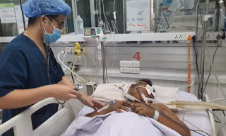 Nhiều người nguy kịch vì mắc sốt xuất huyết trái mùa 