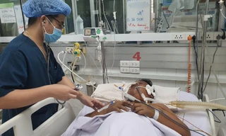 Nhiều người nguy kịch vì mắc sốt xuất huyết trái mùa 