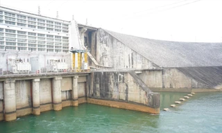 Báo động khẩn: Hàng loạt thủy điện lớn dừng hoạt động 