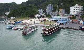 Hải Phòng vươn tới điểm đến hàng đầu 