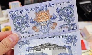 'Săn' tiền rồng cho năm mới 