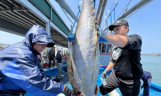 Vẫn dọc ngang từng mét nước chủ quyền - Bài 2 : Sát cánh giữa biển khơi