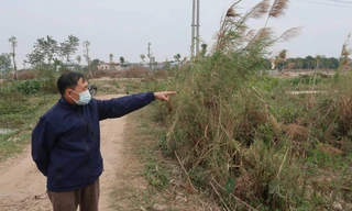 Cần sớm xử lý dứt điểm khiếu nại về đất đai 