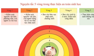 Amafarm - nơi cung cấp heo đực giống Duroc Đài Loan hàng đầu Việt Nam 