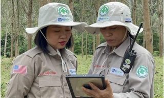  'Bông hồng thép' Diệu Linh 