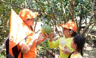 Đi những tua du lịch ngắn ngày được nhiều khách hàng lựa chọn