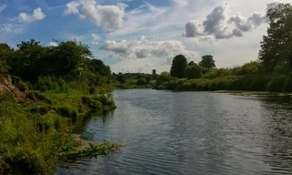 Sử dụng AI để khắc phục ô nhiễm sông 