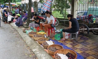 Trùng Khánh, tháng 9 