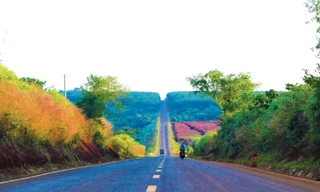 Đòn bẩy phát triển kinh tế của Gia Lai 