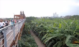 Công viên bãi giữa sông Hồng: Ưu tiên sinh thái hay thương mại? 