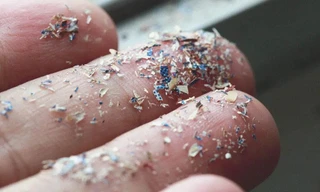 Vấn nạn vô sinh vì vi hạt nhựa 