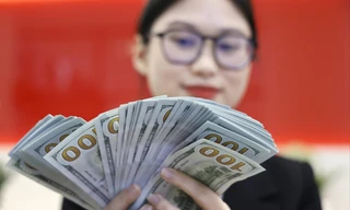 Giá USD tăng mạnh: Doanh nghiệp lao đao 