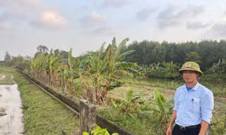 Bất ngờ khi truy thu thủy lợi phí 