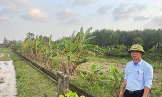 Bất ngờ khi truy thu thủy lợi phí 