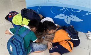 Dùng điện thoại trong trường học: Như con dao hai lưỡi 