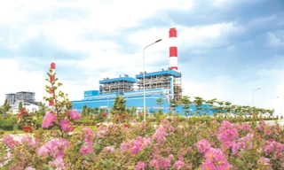 10 năm không ngừng xanh hóa môi trường