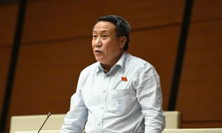 Vi phạm nhỏ, doanh nhân có thể được tại ngoại 