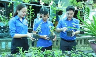 Lô Văn Bình (đứng giữa) giới thiệu các giống lan cho anh Lê Văn Lương - Bí thư Tỉnh Đoàn Nghệ An 