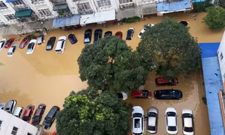 Bảo hiểm dồn lực bồi thường nạn nhân sau bão 
