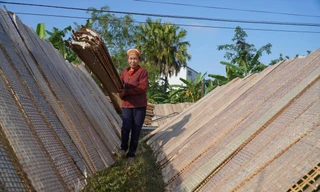 Làng bánh đa nem vào vụ Tết 