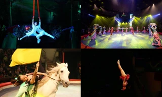 Truyền lửa khát vọng cống hiến - Bài 17: Hành trình của cô gái 'vàng' làng xiếc 