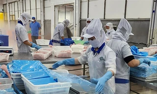 Cước phí vận tải biển tăng cao: Doanh nghiệp chuyển hướng thị trường 