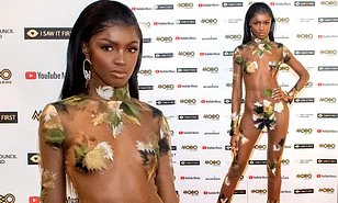 'Thiên thần nội y' Leomie Anderson mặc xuyên thấu như không trên thảm đỏ