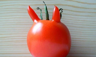 Rau, củ hình thù cực 'sốc'