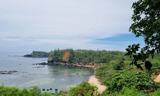 Danh thắng trầm tích núi lửa Ba Làng An kêu cứu: UBND tỉnh Quảng Ngãi yêu cầu kiểm tra, xử lý 