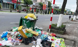 Chất lượng thu gom rác thải ở Đà Nẵng ngày càng thấp