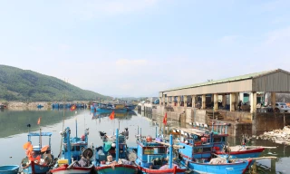 Cửa biển bồi lấp, hàng trăm tàu cá Quảng Ngãi phải 'ly hương'