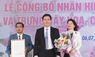 Làng hoa cúc Tết lớn nhất miền Trung được công nhận nhãn hiệu