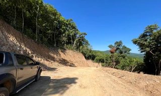 Chủ tịch tỉnh Quảng Ngãi chỉ đạo ‘nóng’ vụ phá rừng tự nhiên mở đường công vụ