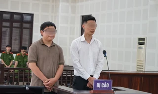 Lĩnh án vì cho người nước ngoài không có bằng lái thuê xe