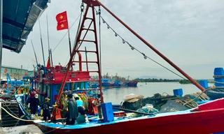 Quảng Ngãi còn 2 tàu cá và 16 lao động nằm trong vùng nguy hiểm của bão số 1
