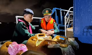Quảng Ngãi bắt giữ hơn 2.000 lít dầu DO không rõ nguồn gốc