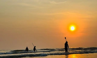 Ra biển bắt ốc bé bằng móng tay, ngư dân kiếm bộn tiền mỗi sáng