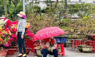 Chợ hoa lớn nhất Quảng Ngãi ế ẩm, tiểu thương co ro trong gió lạnh