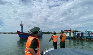 Bão Trà Mi khó lường, Quảng Ngãi còn gần 350 tàu cá trên biển