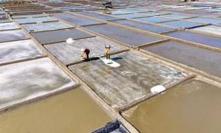 Diêm dân 'vắt nắng' mưu sinh trên đồng muối hơn 200 năm tuổi