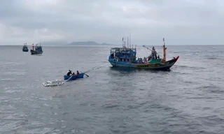 11 ngư dân Quảng Ngãi được cứu khi tàu chìm