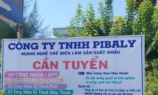 Hai doanh nghiệp bị truy thu và xử phạt hơn 4 tỷ đồng vì vi phạm thuế