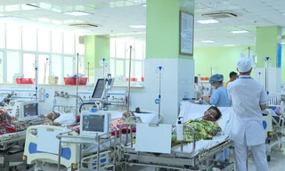 Quảng Ngãi: Hai vợ chồng hôn mê sâu, nguy kịch vì ăn cá nóc