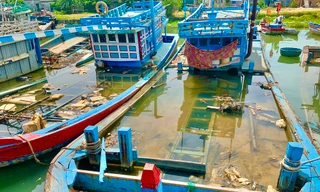 Quảng Ngãi xóa tên 244 tàu trong sổ đăng ký tàu cá quốc gia