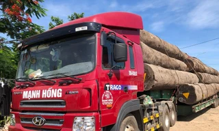 Xe đầu kéo có dấu hiệu quá khổ, quá tải.