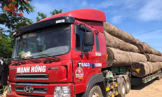 Xe đầu kéo có dấu hiệu quá khổ, quá tải.