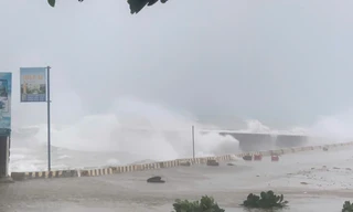 Ảnh hưởng bão số 1, hơn 100 du khách mắc kẹt trên đảo Lý Sơn